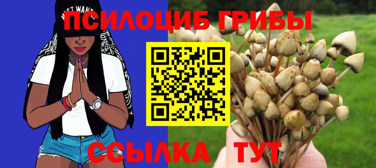 Галлюциногенные грибы Psilocybe  Вход с VPN  Губкинский  Галлюциногенные грибы MAGIC MUSHROOMS 